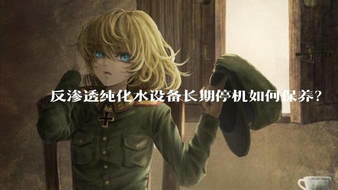 反渗透纯化水设备长期停机如何保养？