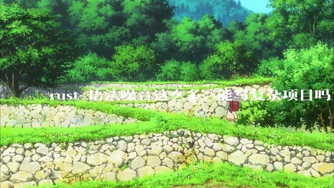 rust 语法噪音这么多, 能写复杂项目吗?